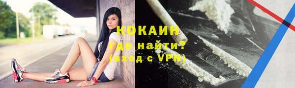соль ск Алзамай