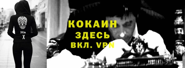 шишки Нягань