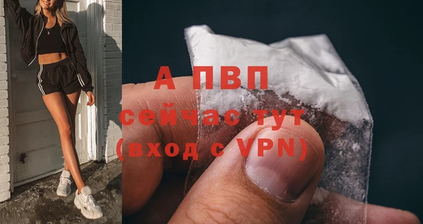 соль ск Алзамай